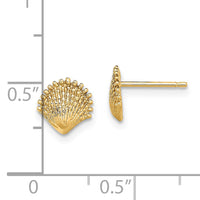 14K Scallop Shell Post Earrings-TE778