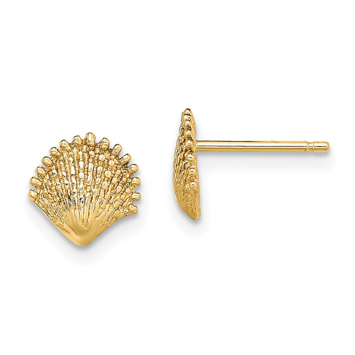 14K Scallop Shell Post Earrings-TE778