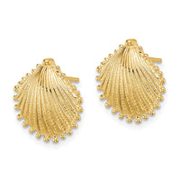 14K Scallop Shell Post Earrings-TE779