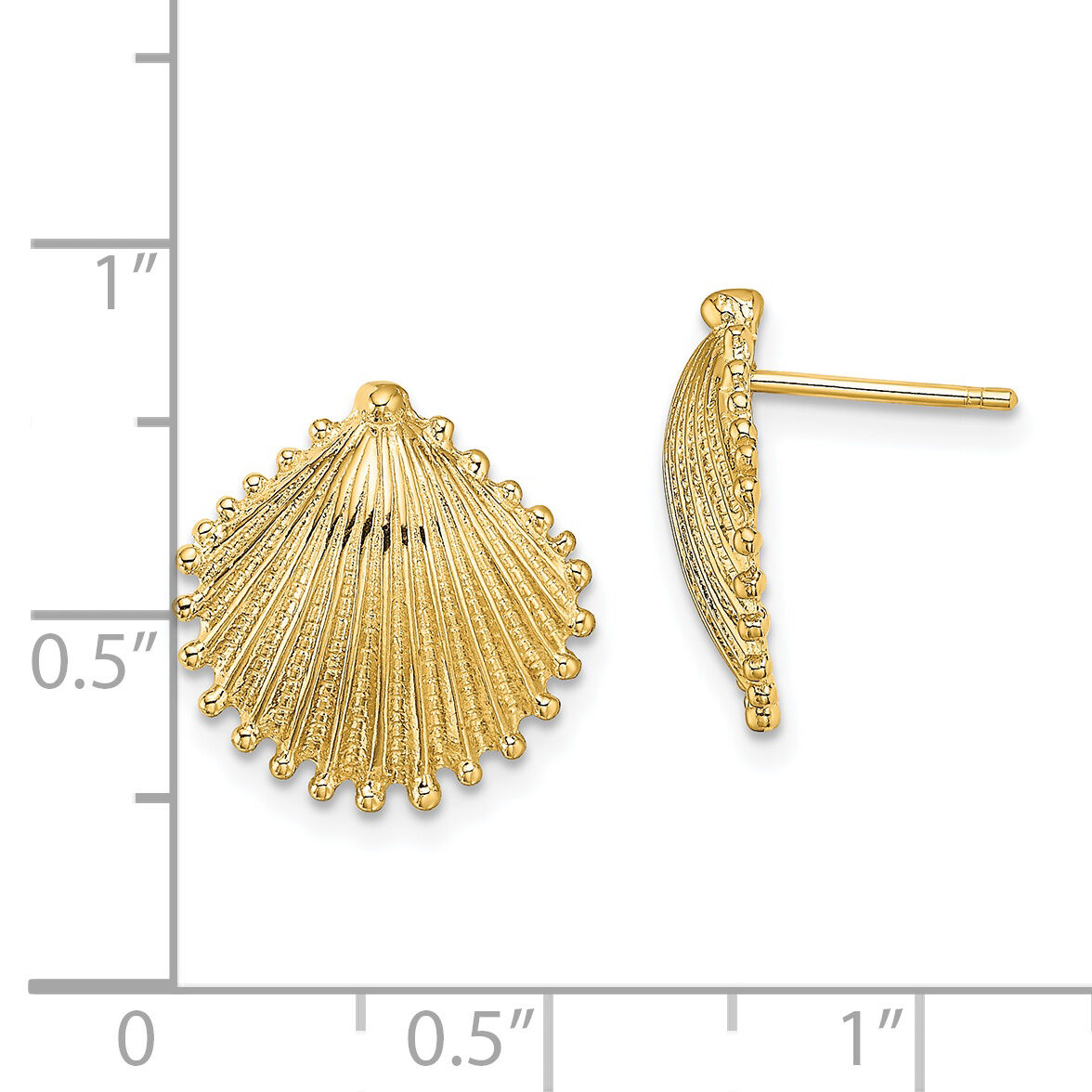 14K Scallop Shell Post Earrings-TE779
