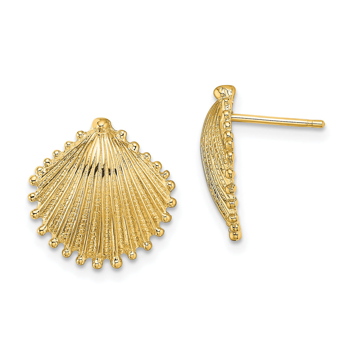 14K Scallop Shell Post Earrings-TE779