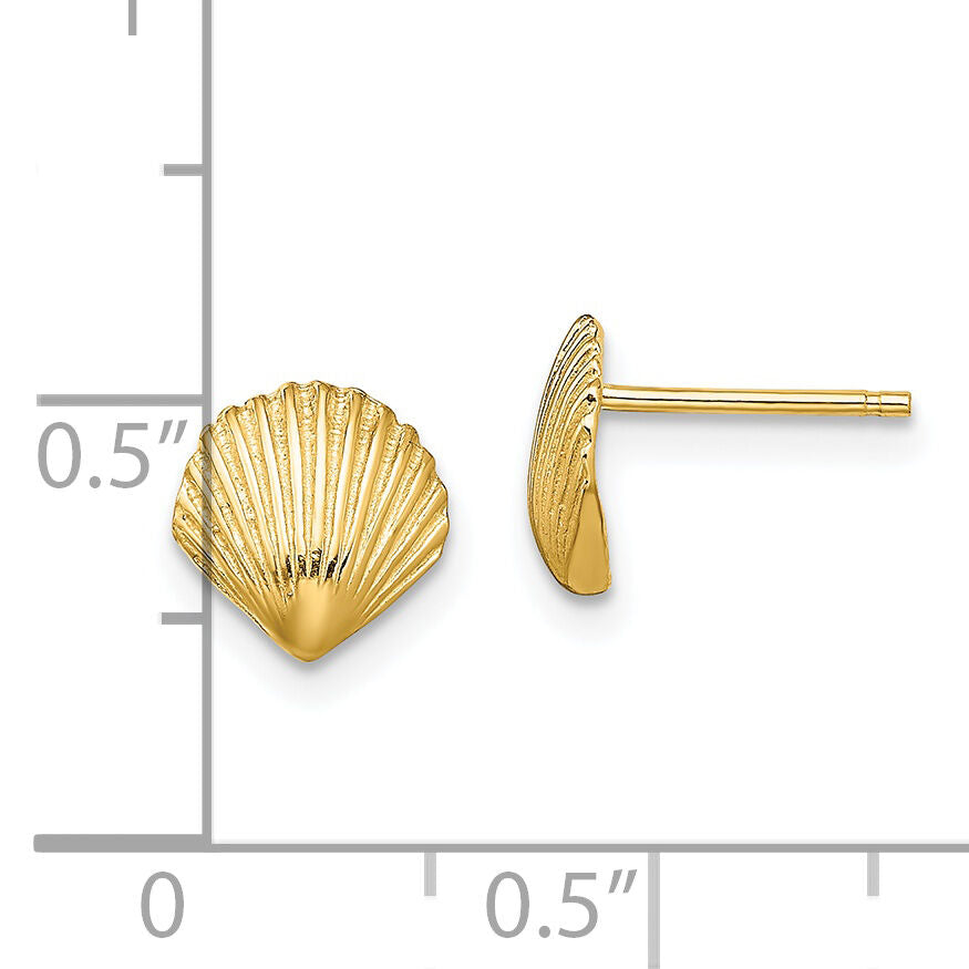 14K Scallop Shell Post Earrings-TE782