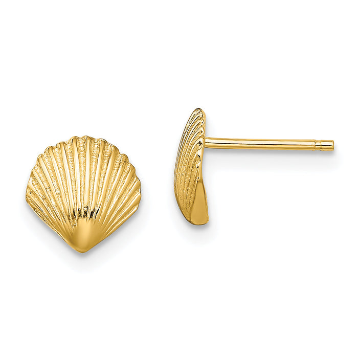 14K Scallop Shell Post Earrings-TE782