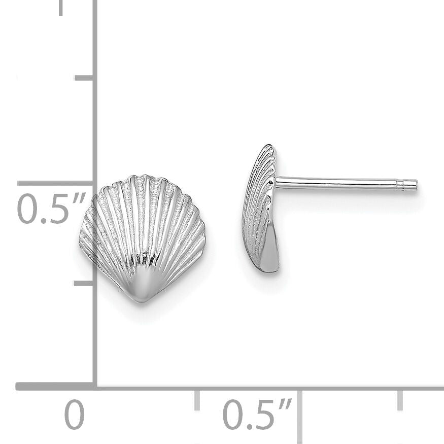14K White Gold Scallop Shell Post Earrings-TE782W