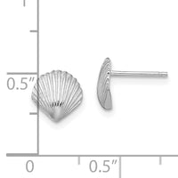 14K White Gold Scallop Shell Post Earrings-TE782W