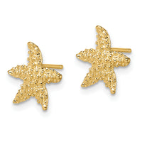 14K Textured Starfish Post Earrings-TE783
