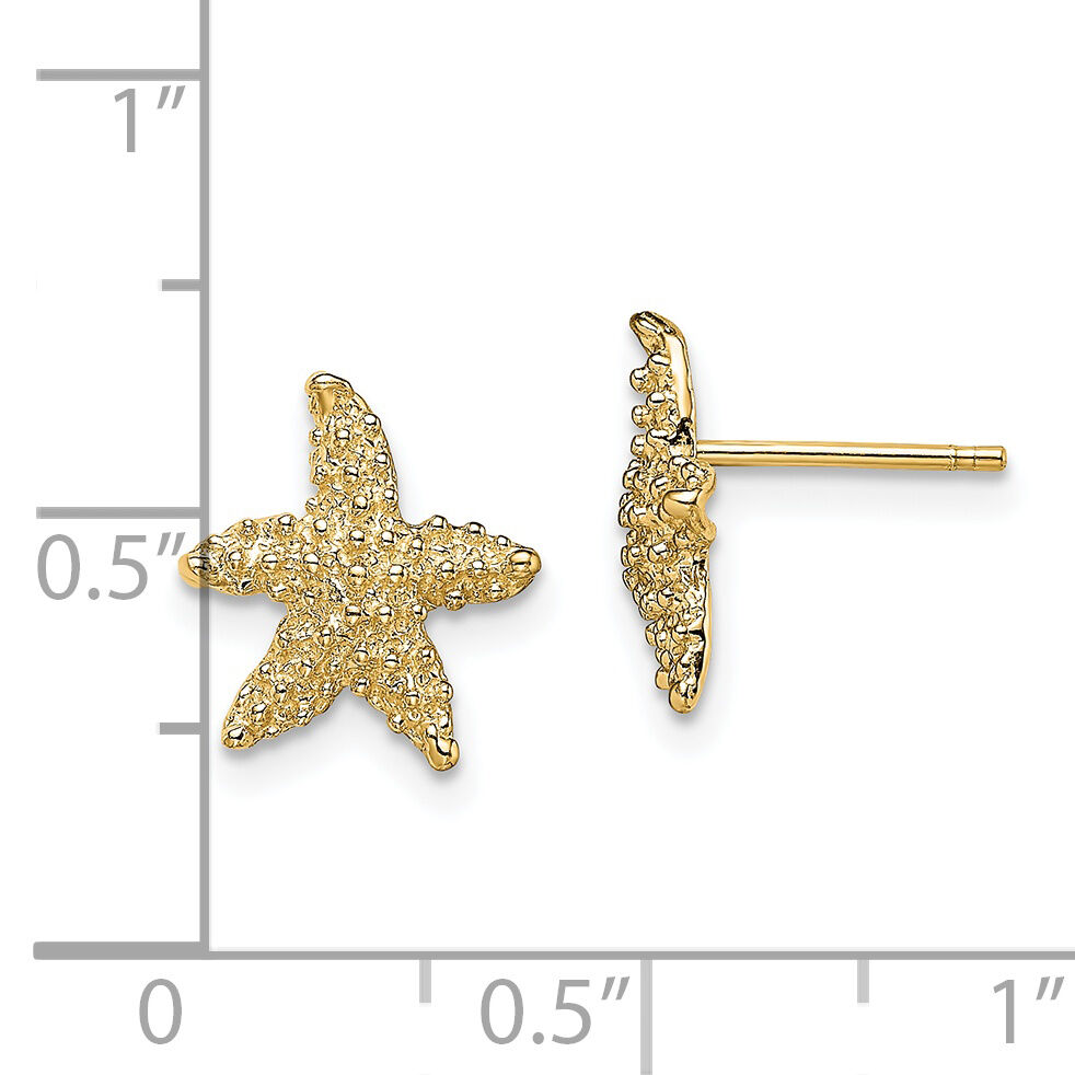 14K Textured Starfish Post Earrings-TE783