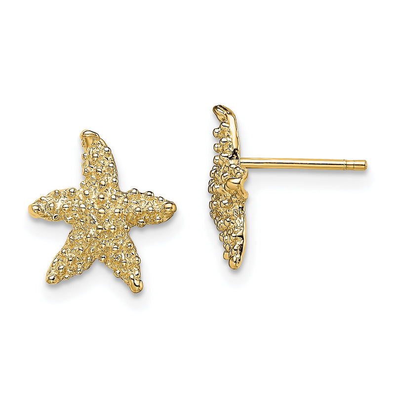 14K Textured Starfish Post Earrings-TE783