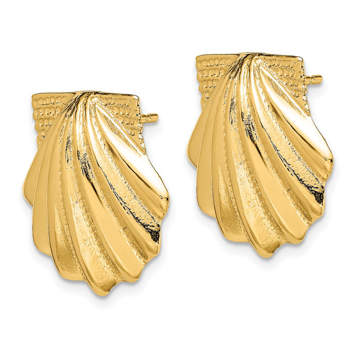 14K Scallop Shell Earrings-TE785