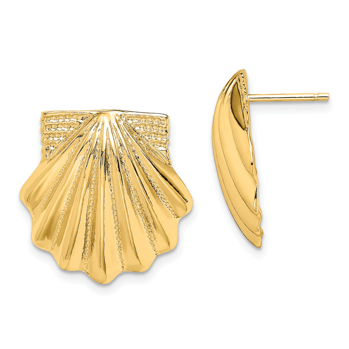 14K Scallop Shell Earrings-TE785