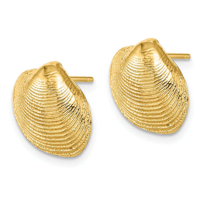 14K Clam Shell Post Earrings-TE786