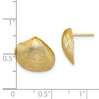 14K Clam Shell Post Earrings-TE786