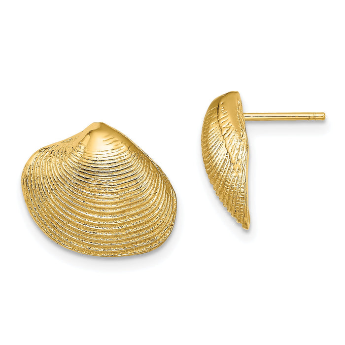 14K Clam Shell Post Earrings-TE786