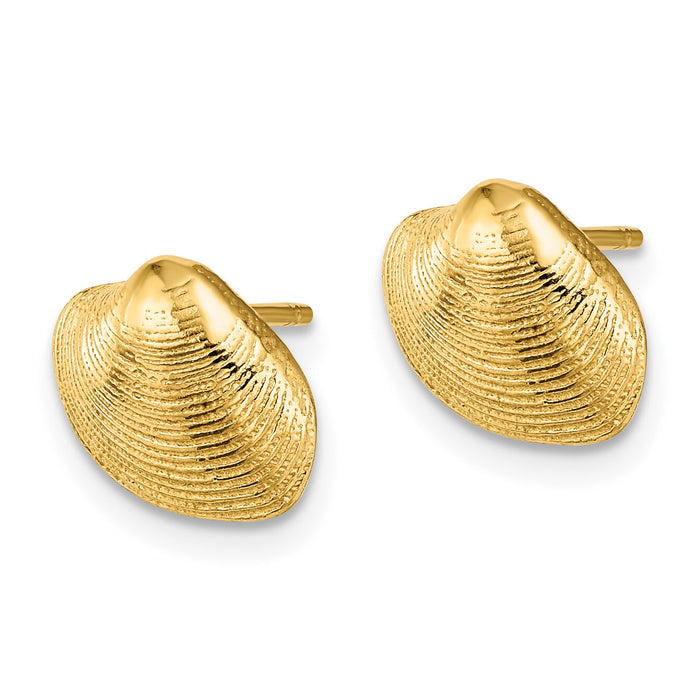 14K Clam Shell Post Earrings-TE787
