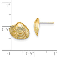 14K Clam Shell Post Earrings-TE787