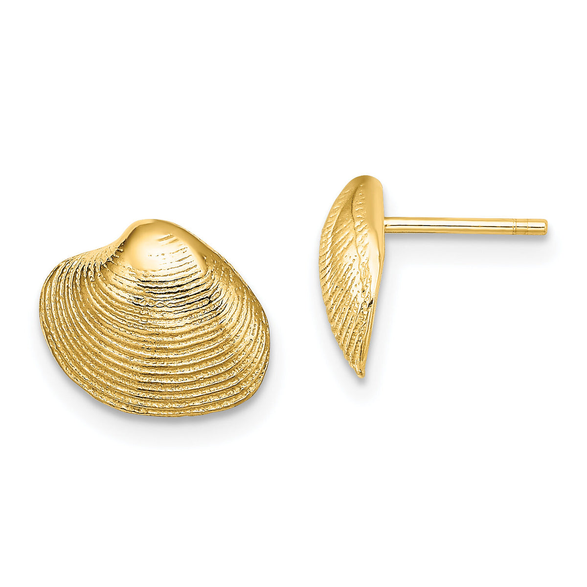14K Clam Shell Post Earrings-TE787