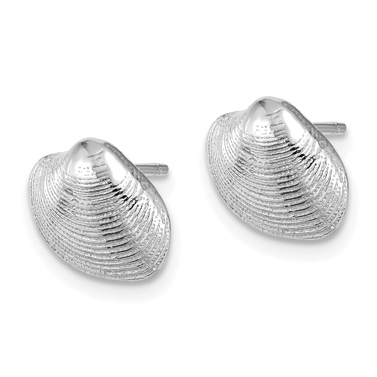 14K White Gold Clam Shell Post Earrings-TE787W