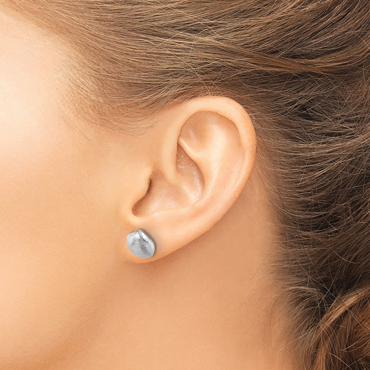 14K White Gold Clam Shell Post Earrings-TE787W