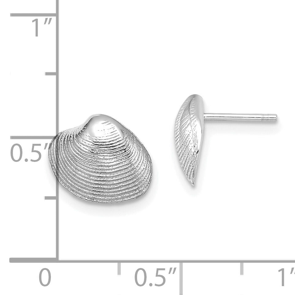 14K White Gold Clam Shell Post Earrings-TE787W