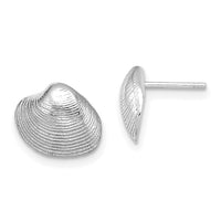 14K White Gold Clam Shell Post Earrings-TE787W