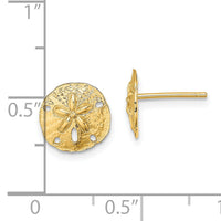 14K Polished Mini Sand Dollar Post Earrings-TE790
