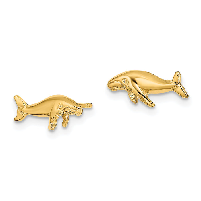 14K Whale Post Earrings-TE792