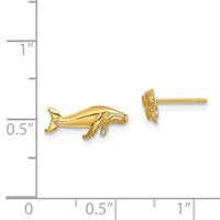 14K Whale Post Earrings-TE792