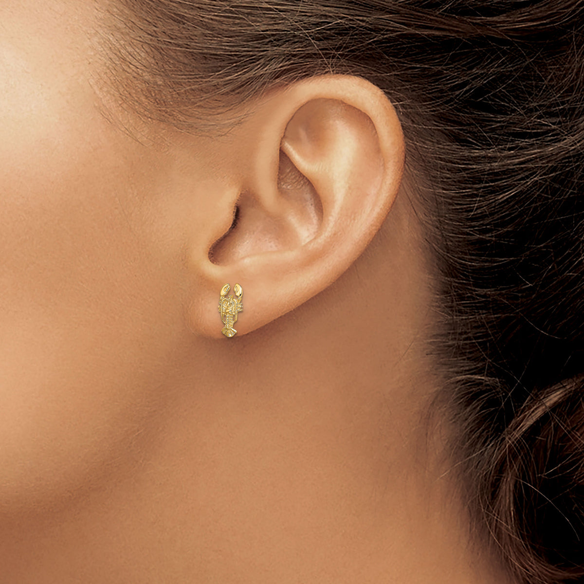 14K 2-D Lobster Post Earrings-TE795