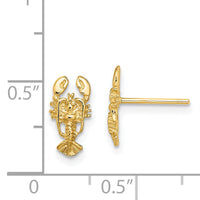 14K 2-D Lobster Post Earrings-TE795