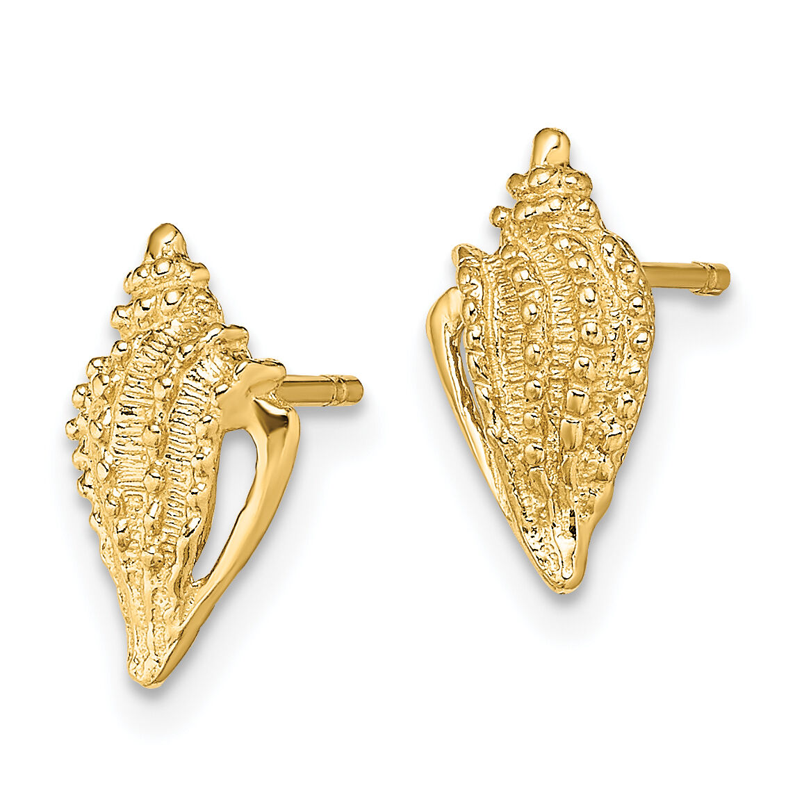 14K Mini Conch Shell Post Earrings-TE800