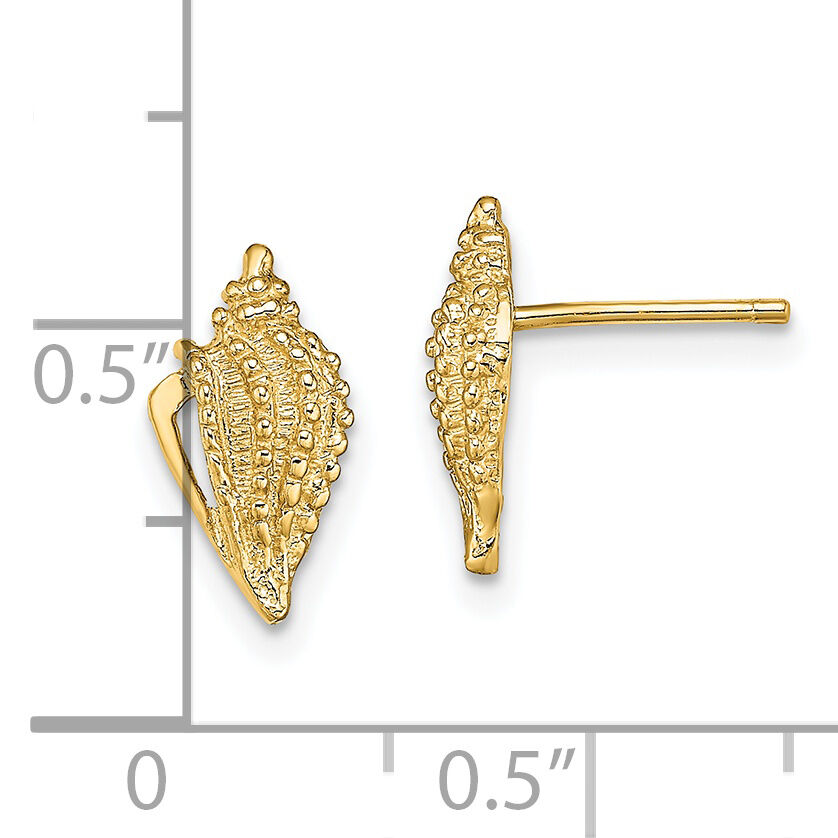 14K Mini Conch Shell Post Earrings-TE800