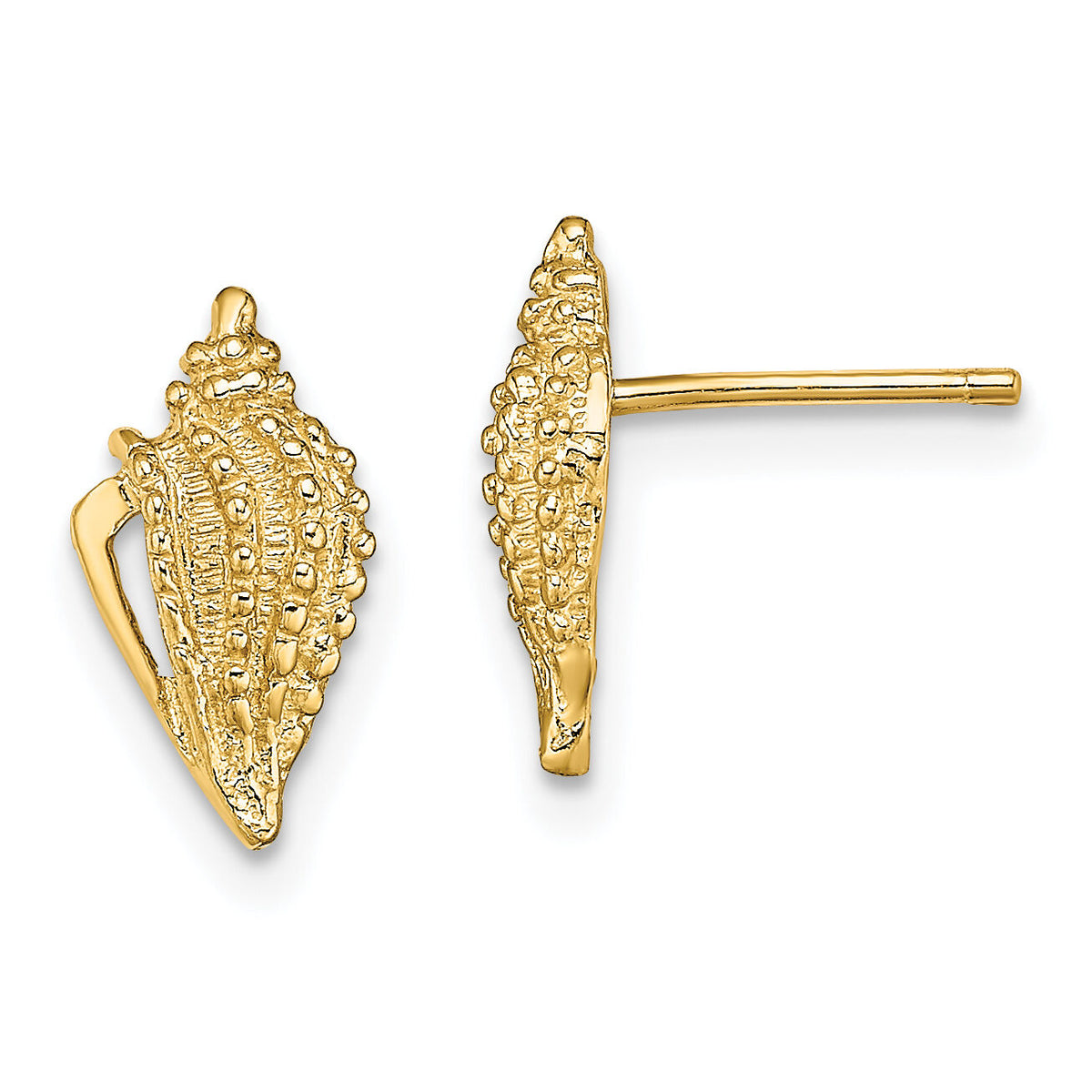14K Mini Conch Shell Post Earrings-TE800