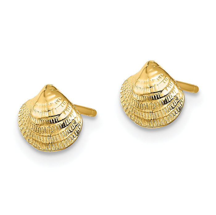 14K Mini Clam Shell Post Earrings-TE801