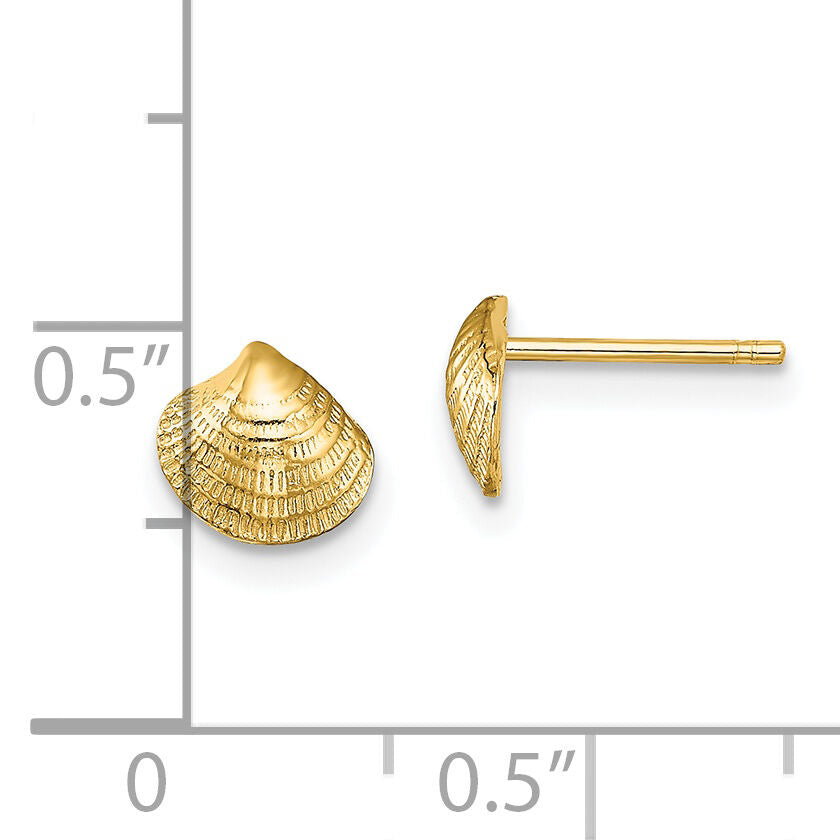 14K Mini Clam Shell Post Earrings-TE801