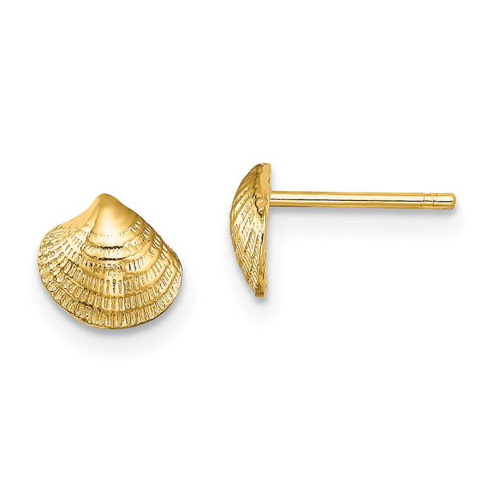 14K Mini Clam Shell Post Earrings-TE801