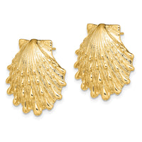 14K Lion's Paw Shell Post Earrings-TE810