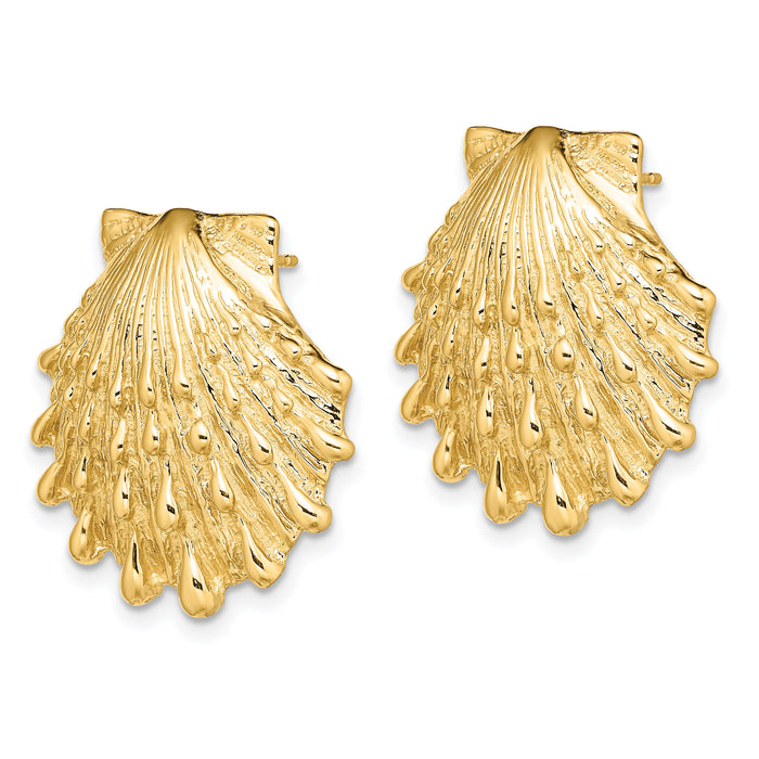 14K Lion's Paw Shell Post Earrings-TE810