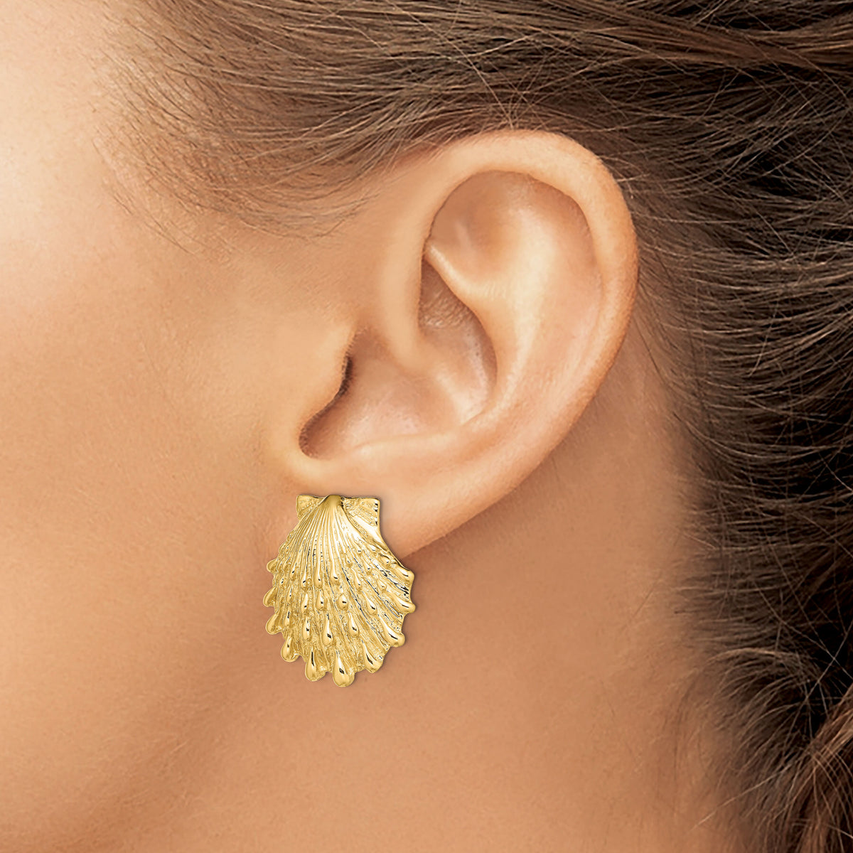 14K Lion's Paw Shell Post Earrings-TE810