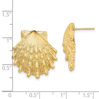 14K Lion's Paw Shell Post Earrings-TE810