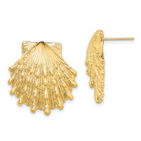 14K Lion's Paw Shell Post Earrings-TE810