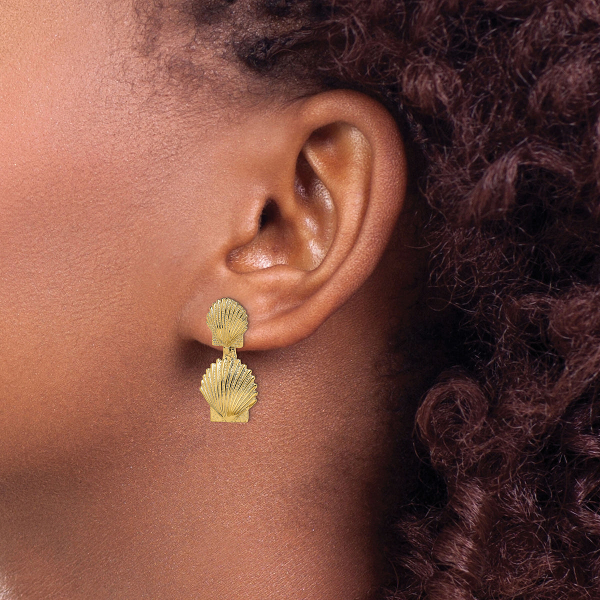 14K Double Scallop Shell Post Earrings-TE813