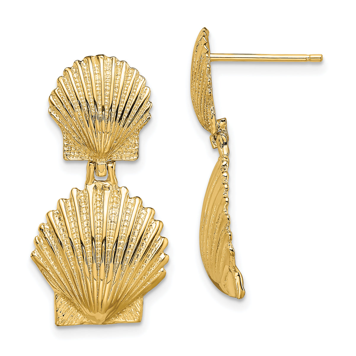14K Double Scallop Shell Post Earrings-TE813
