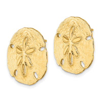 14K Polished Sand Dollar Post Earrings-TE814