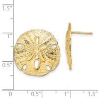 14K Polished Sand Dollar Post Earrings-TE814