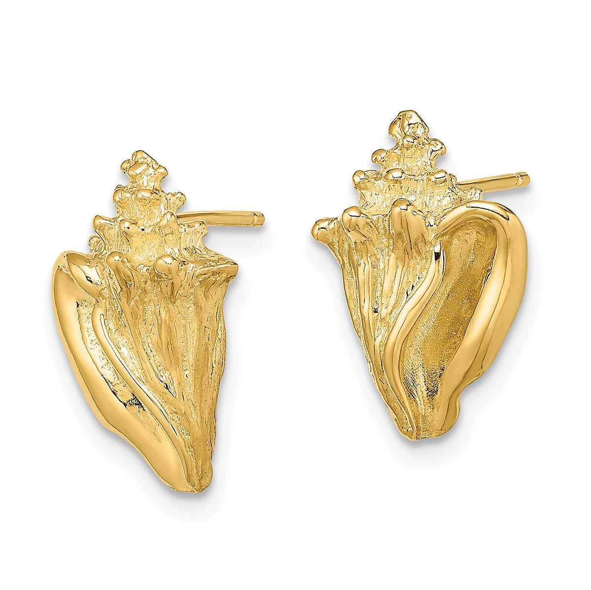 14K 2-D Conch Shell Post Earrings-TE815