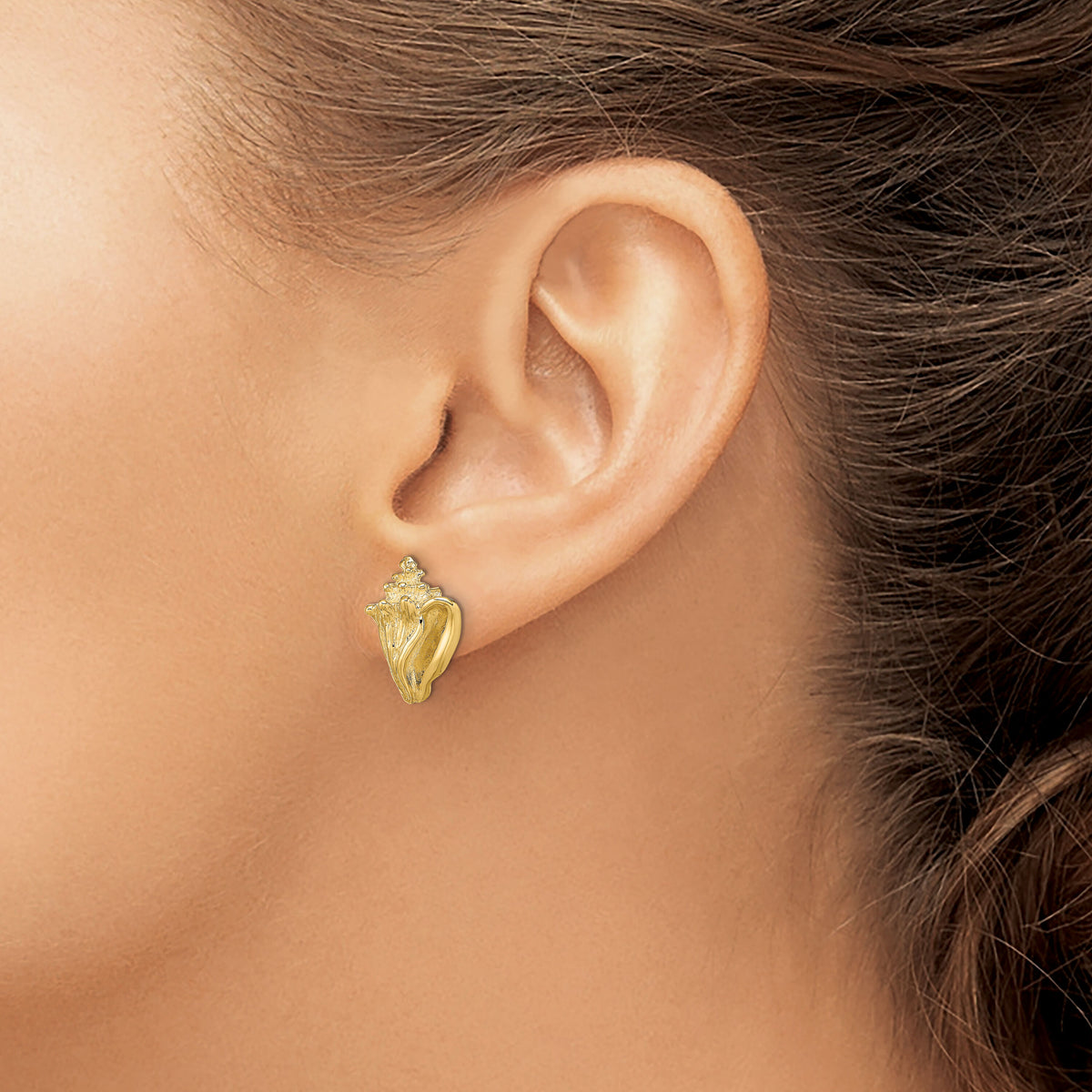 14K 2-D Conch Shell Post Earrings-TE815