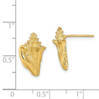 14K 2-D Conch Shell Post Earrings-TE815