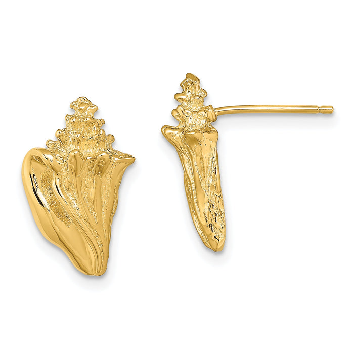 14K 2-D Conch Shell Post Earrings-TE815