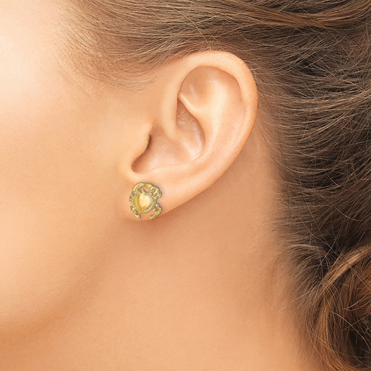 14K Polished / 2-D Crab Post Earrings-TE821