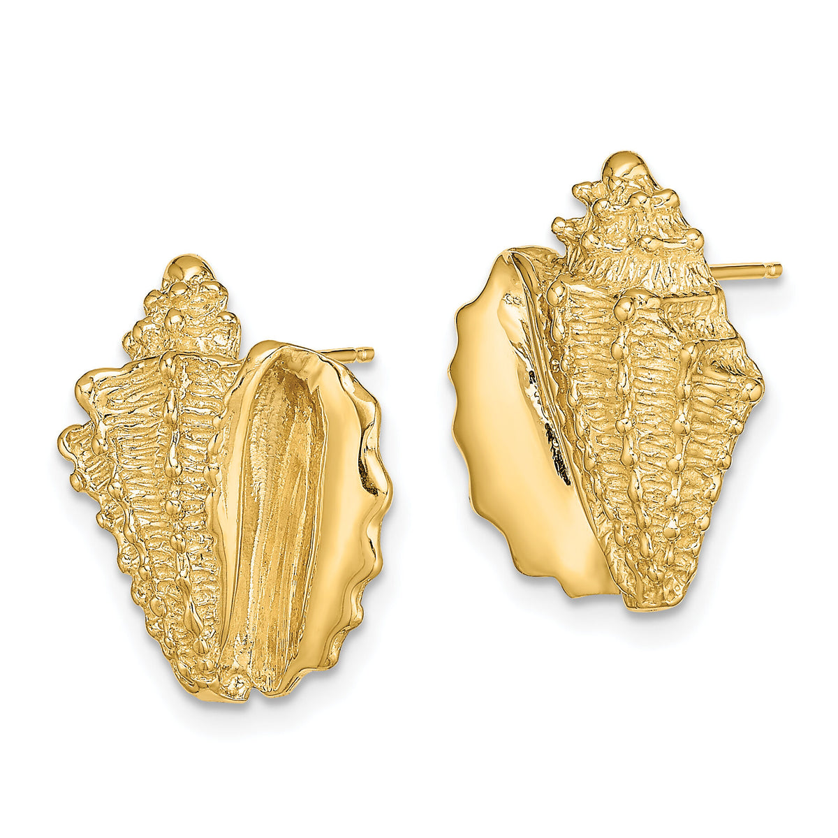 14K 2-D Conch Shell Post Earrings-TE822